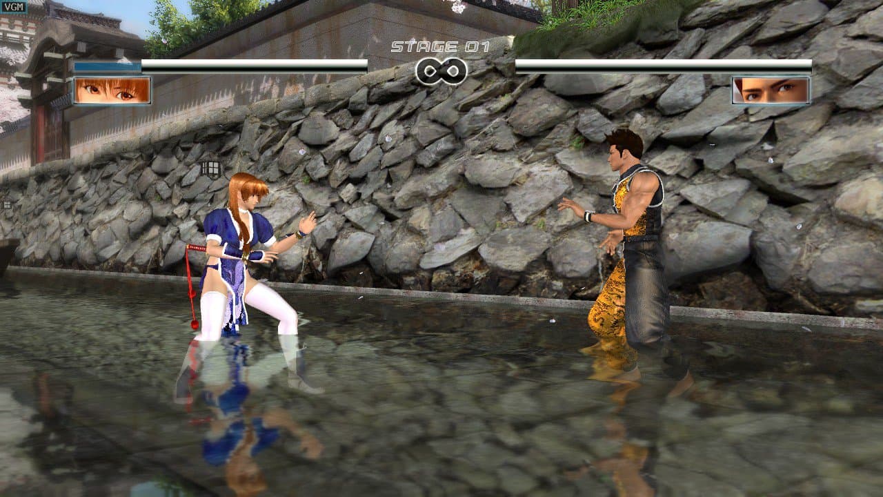 DEAD OR ALIVE 4