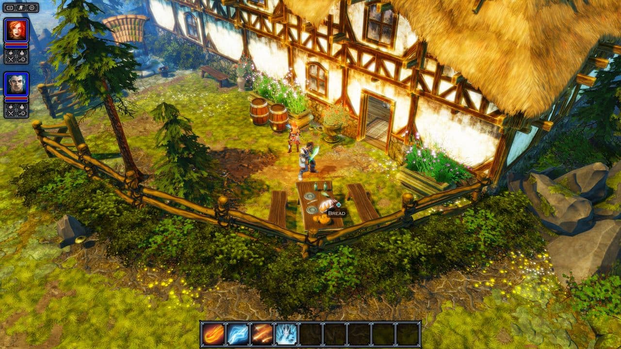 Captura 4 de Divinity: Original Sin