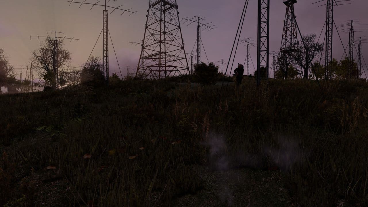 Captura 4 de DayZ
