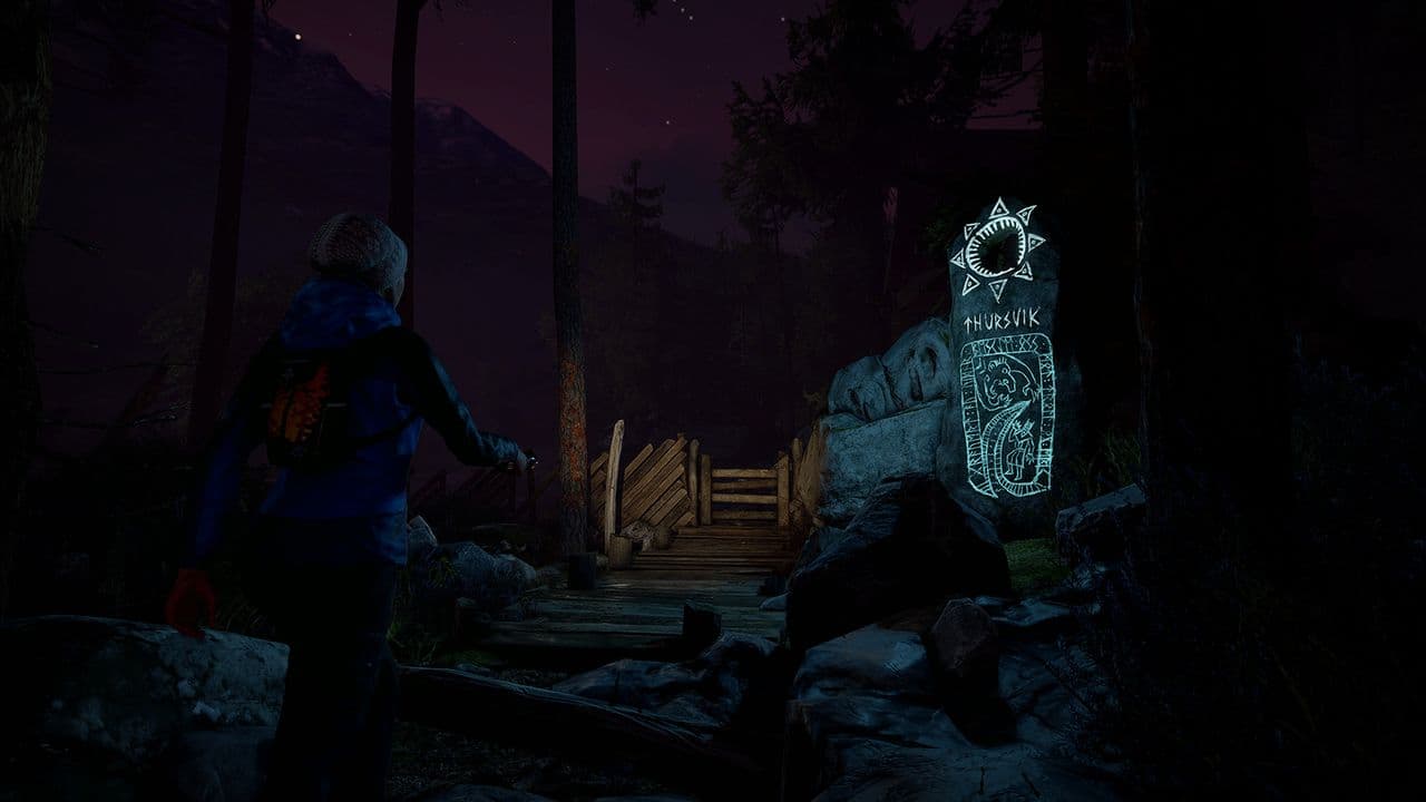 Captura 2 de Through the Woods