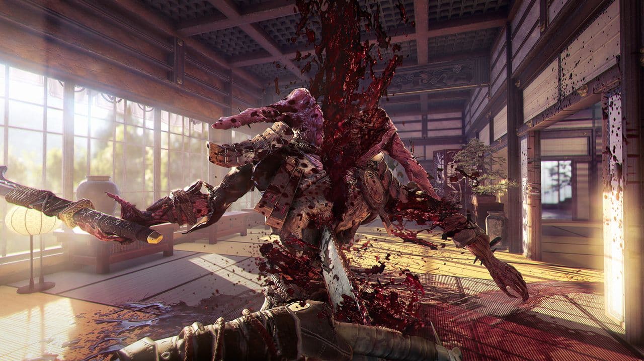 Captura 2 de Shadow Warrior 2
