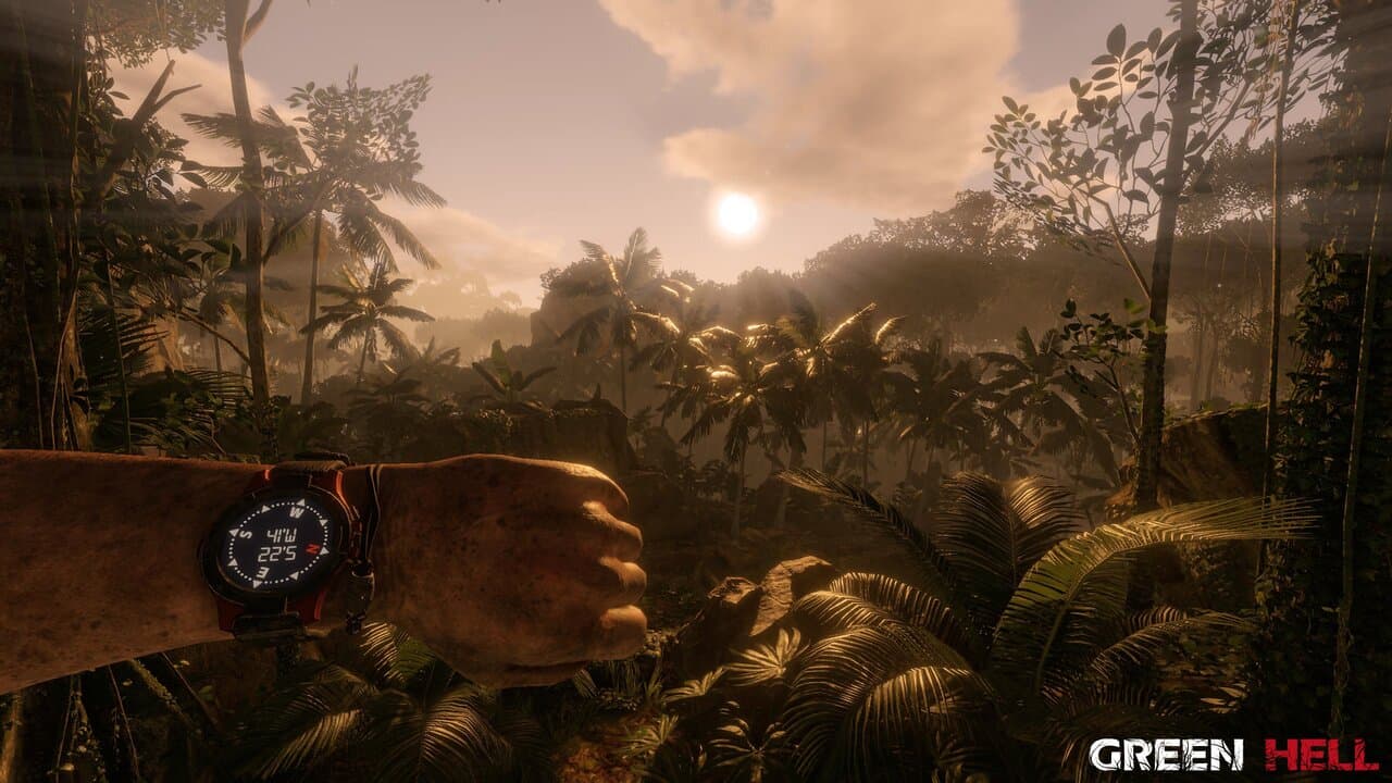 Captura 2 de Green Hell