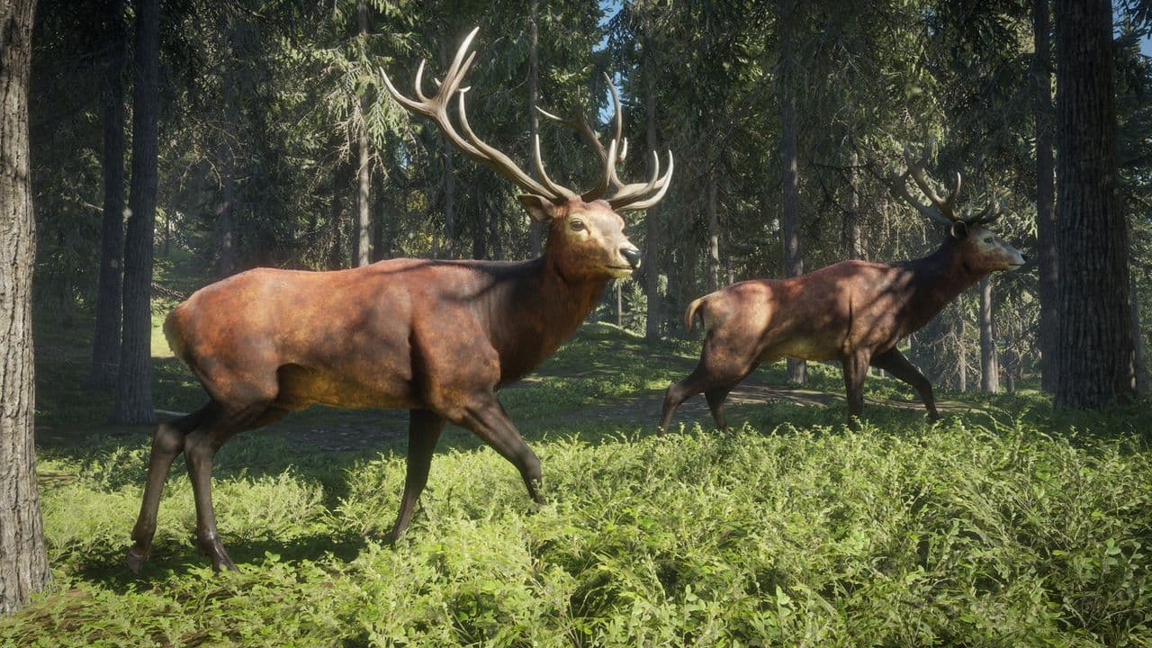 Captura 3 de theHunter: Call of the Wild