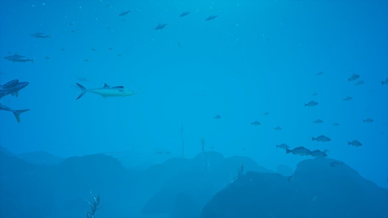 Captura 3 de 蒼海 -AOMI