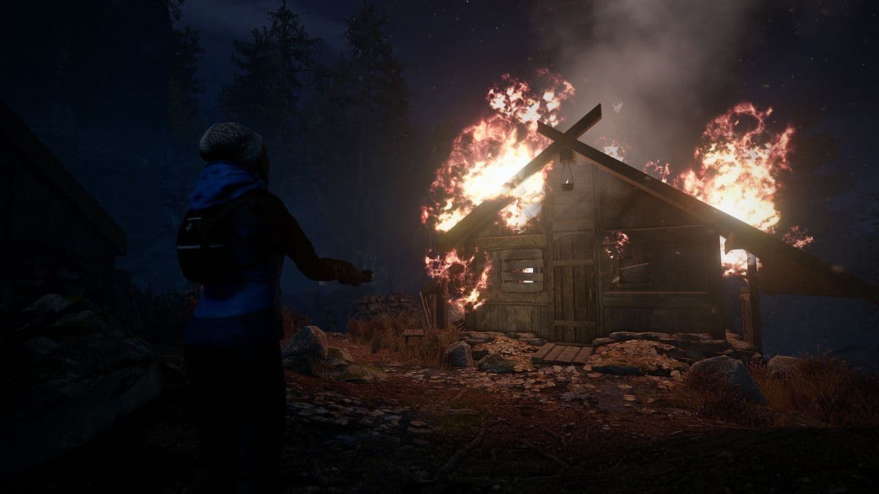 Captura 5 de Through the Woods