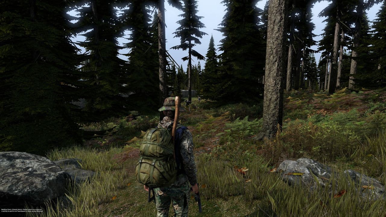 Captura 5 de DayZ