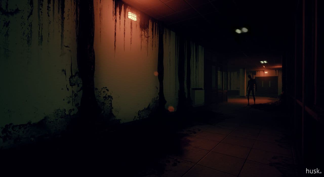 Captura 3 de Husk