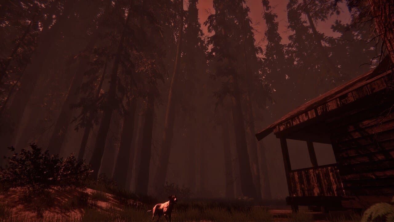 Captura 1 de Shroud of the Woods