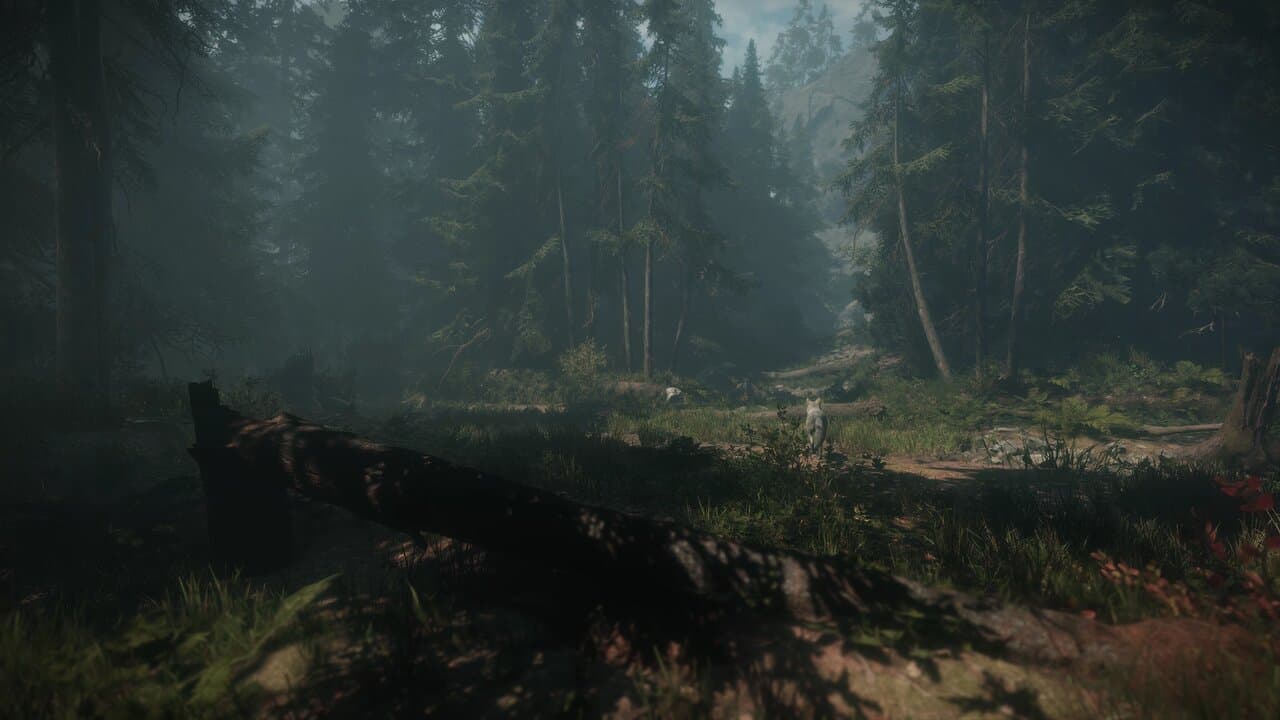 Captura 1 de Maid of Sker