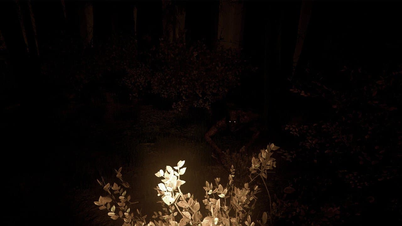 Captura 5 de Shroud of the Woods