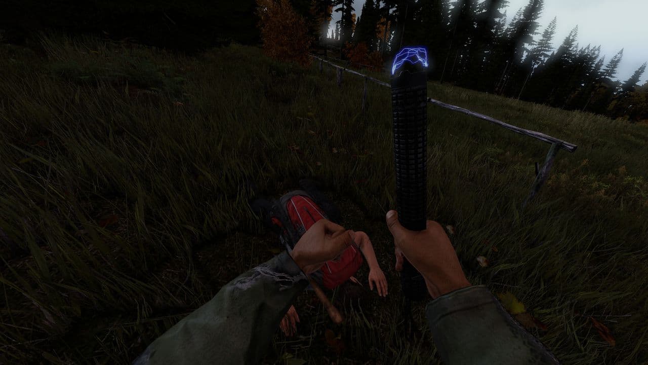Captura 3 de DayZ