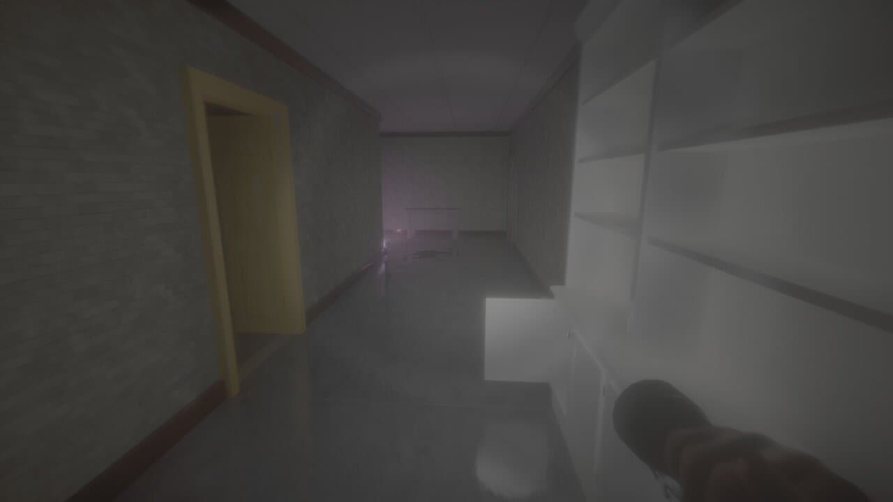 Captura 4 de Backrooms: The Incident