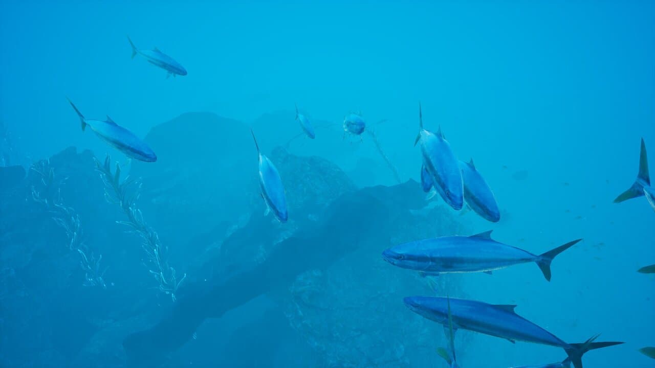 Captura 5 de 蒼海 -AOMI