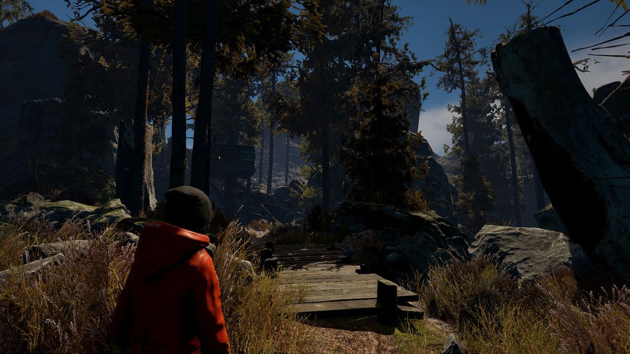 Captura 3 de Through the Woods