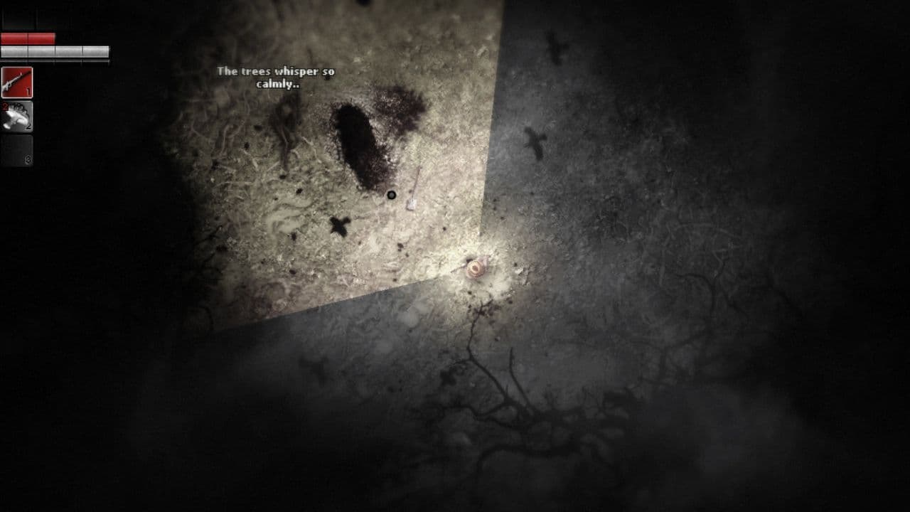 Captura 4 de Darkwood