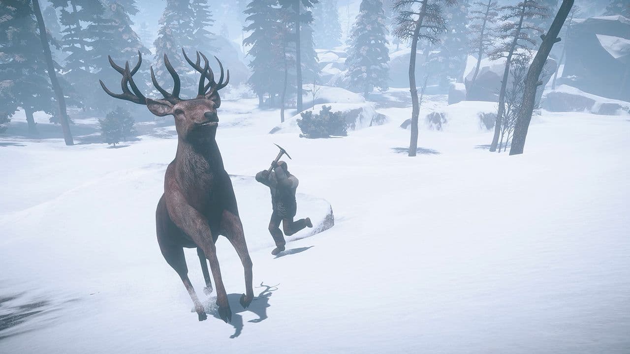 Captura 6 de Rust