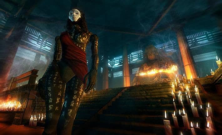 Captura 3 de Shadow Warrior (2013)