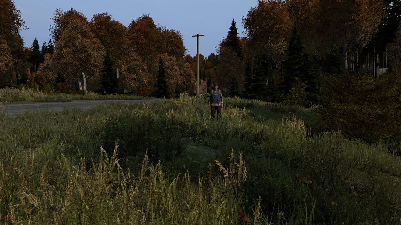Captura 6 de DayZ