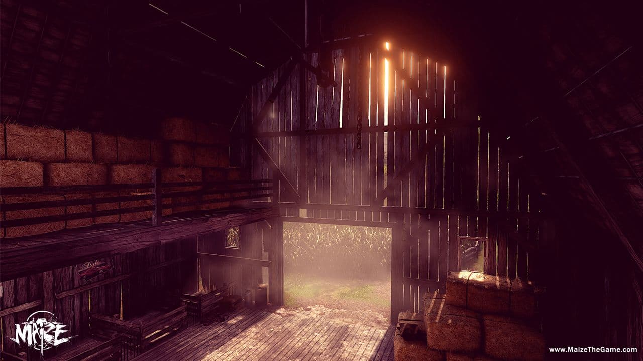 Captura 6 de Maize