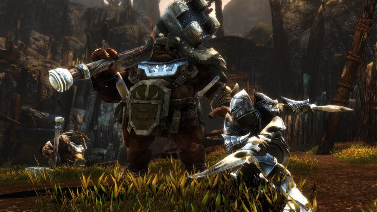 Captura 3 de Kingdoms of Amalur: Re-Reckoning