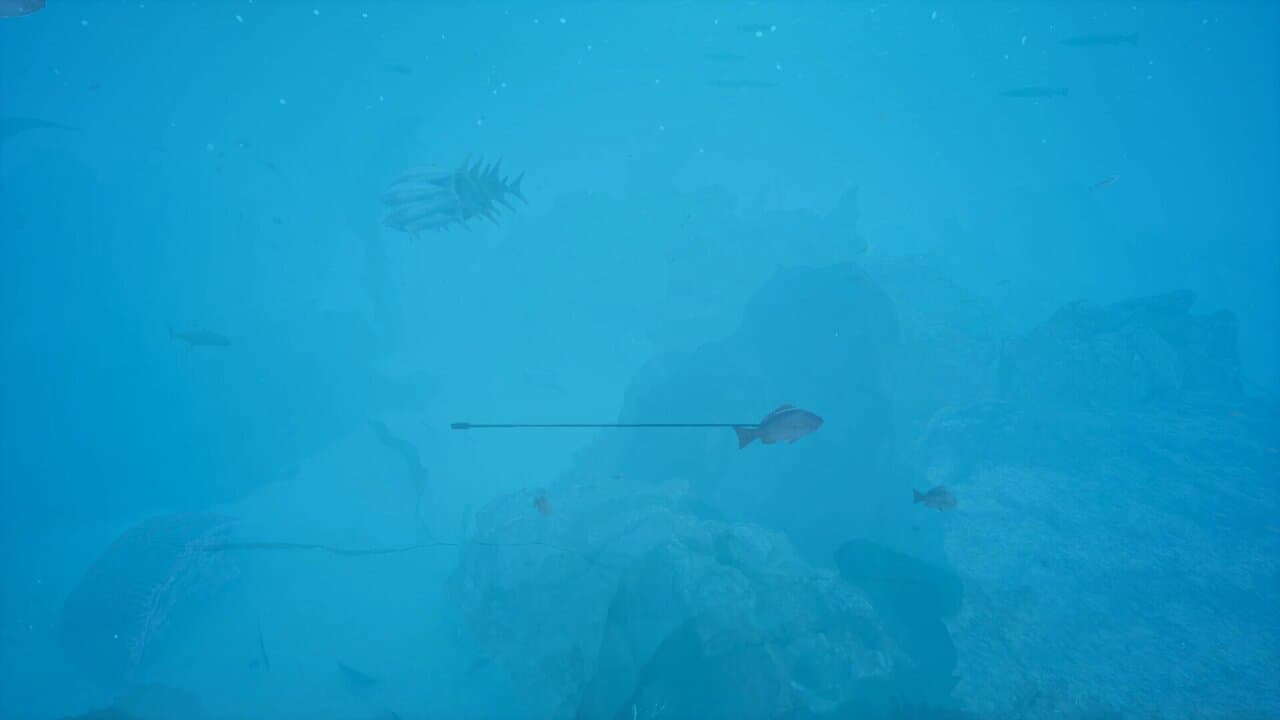 Captura 1 de 蒼海 -AOMI