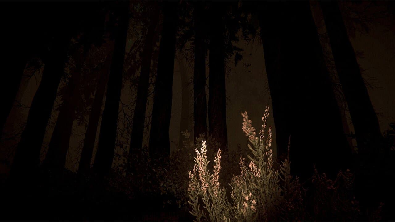 Captura 3 de Shroud of the Woods