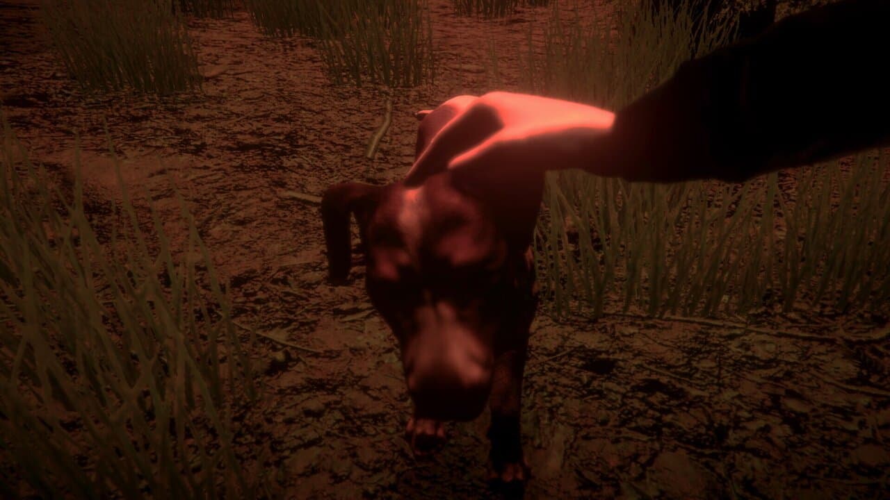 Captura 4 de Shroud of the Woods