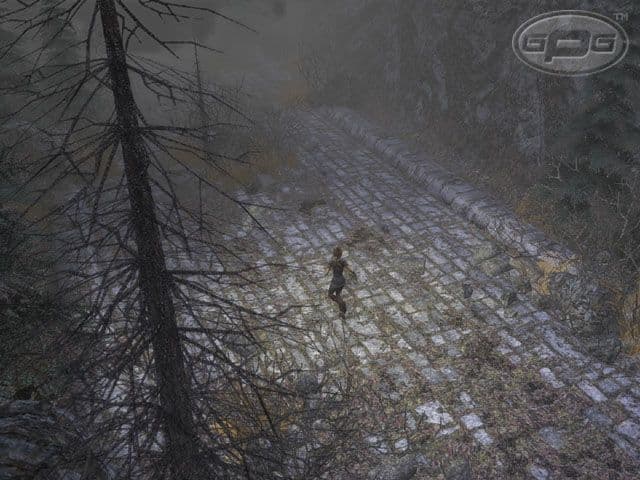 Captura 4 de Dungeon Siege 2