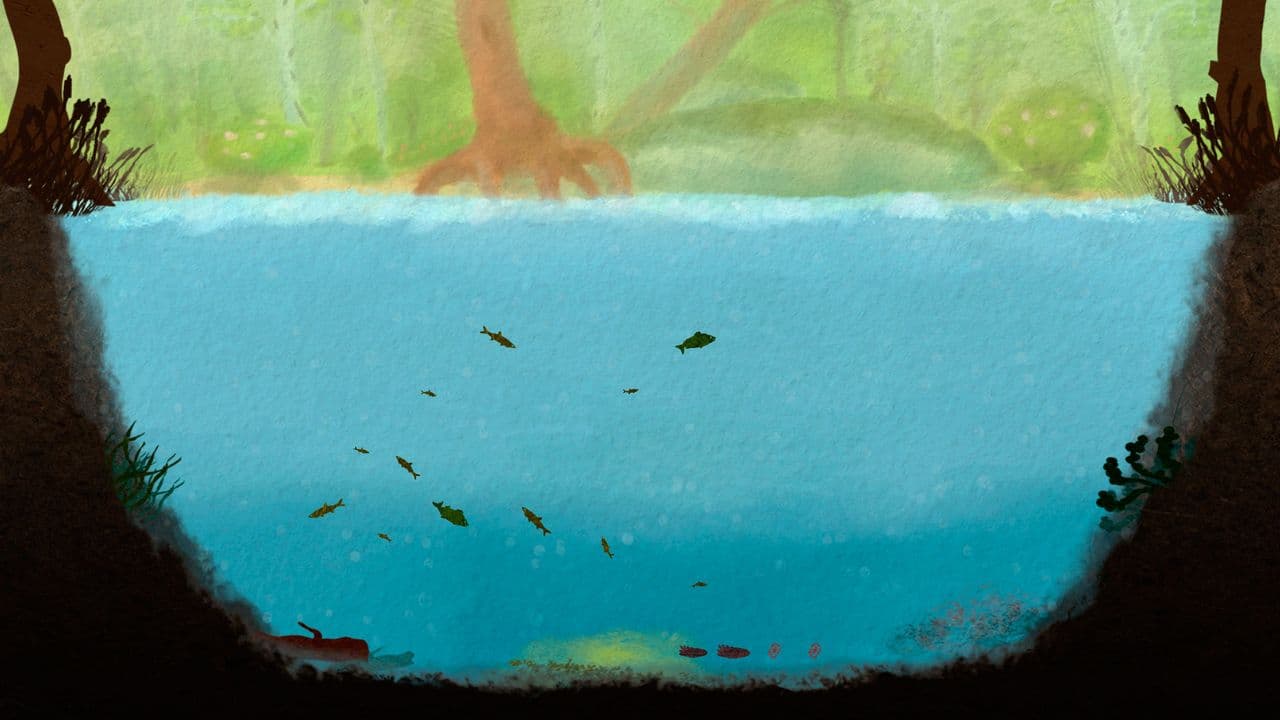 Captura 1 de Among Ripples
