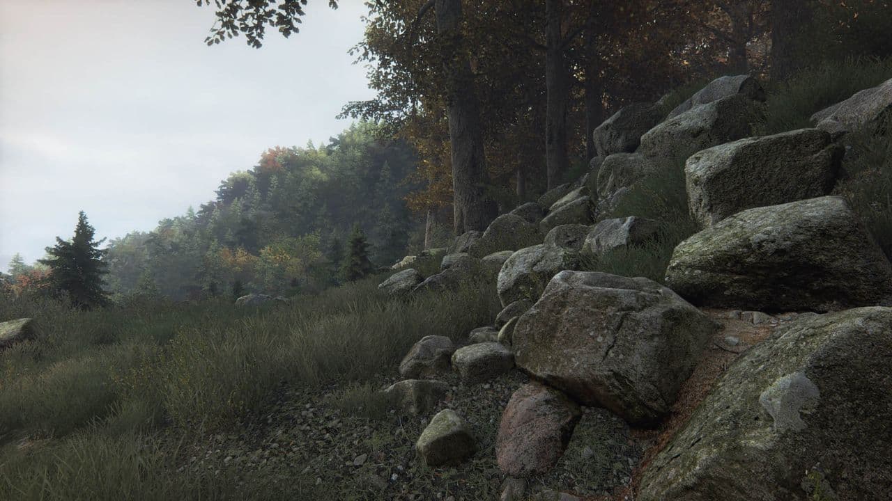 Captura 4 de The Vanishing of Ethan Carter
