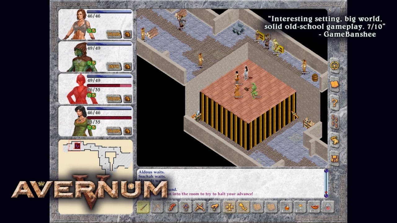 Captura 1 de Avernum 5