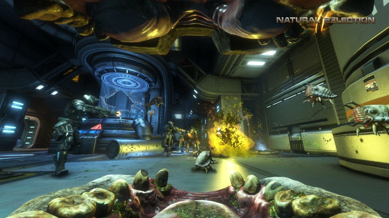 Captura 4 de Natural Selection 2