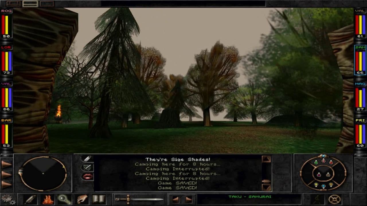 Captura 3 de Wizardry 8
