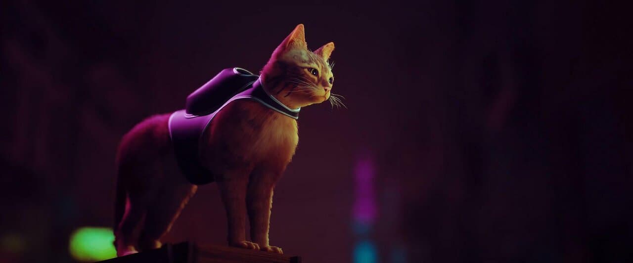 Captura 1 de Stray