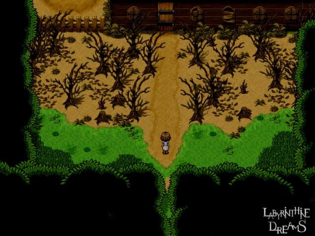 Captura 1 de Labyrinthine Dreams