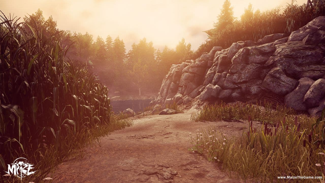 Captura 3 de Maize