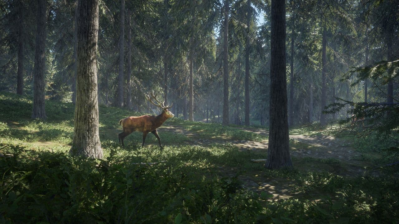 Captura 5 de theHunter: Call of the Wild