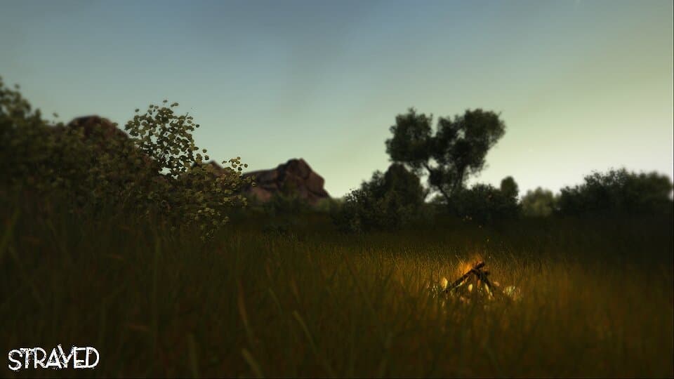 Captura 4 de Strayed