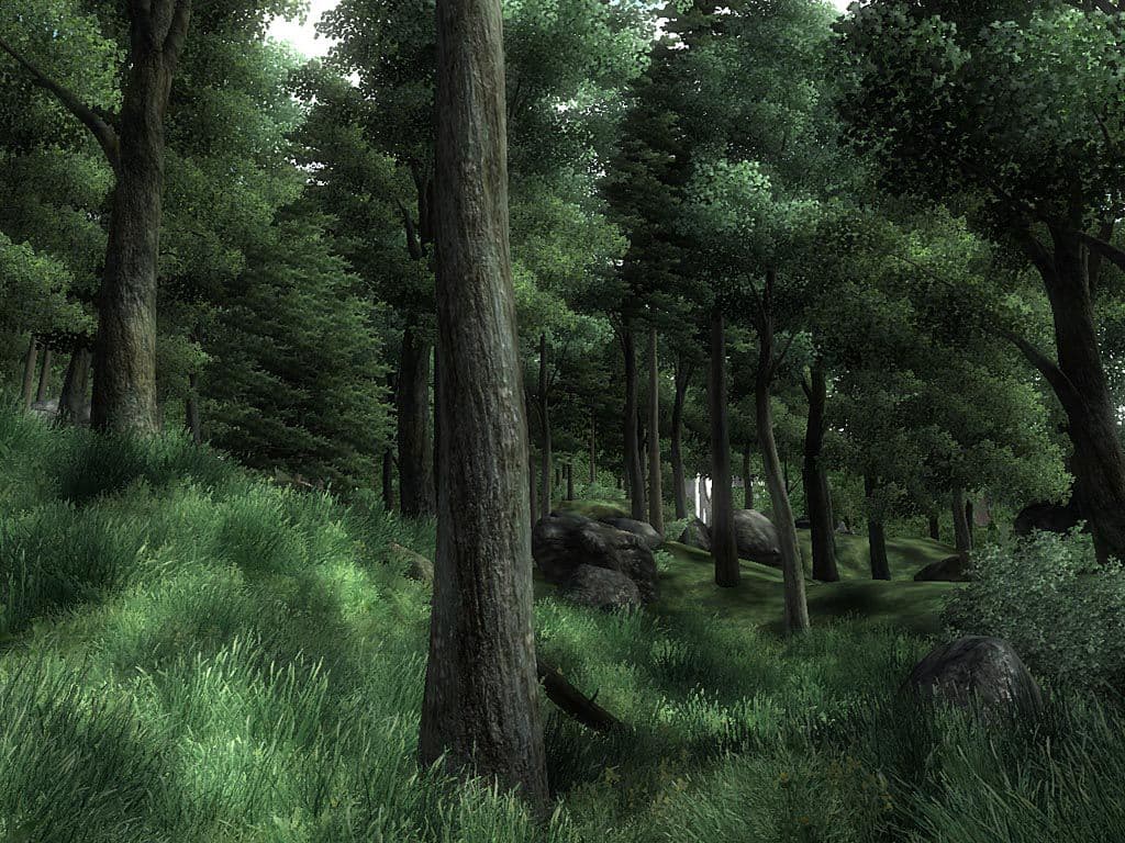 Captura 3 de The Elder Scrolls IV: Oblivion
