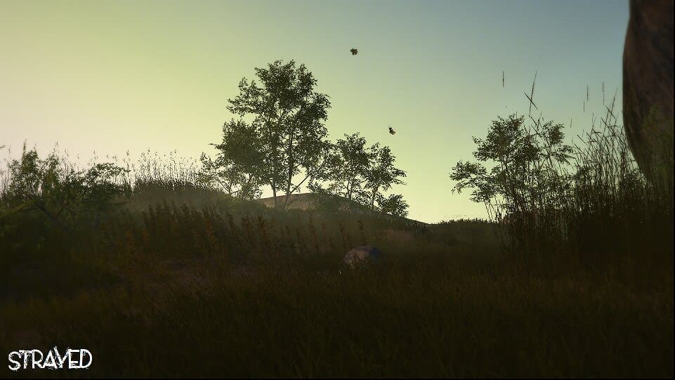 Captura 1 de Strayed