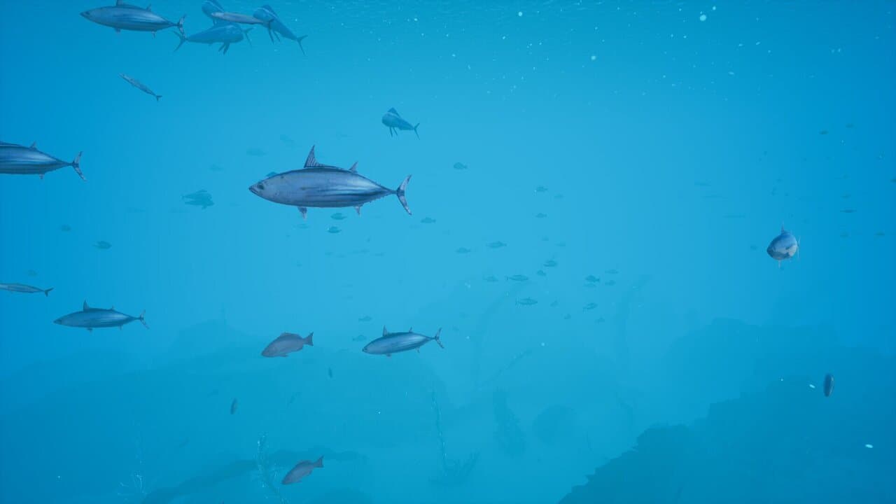 Captura 4 de 蒼海 -AOMI