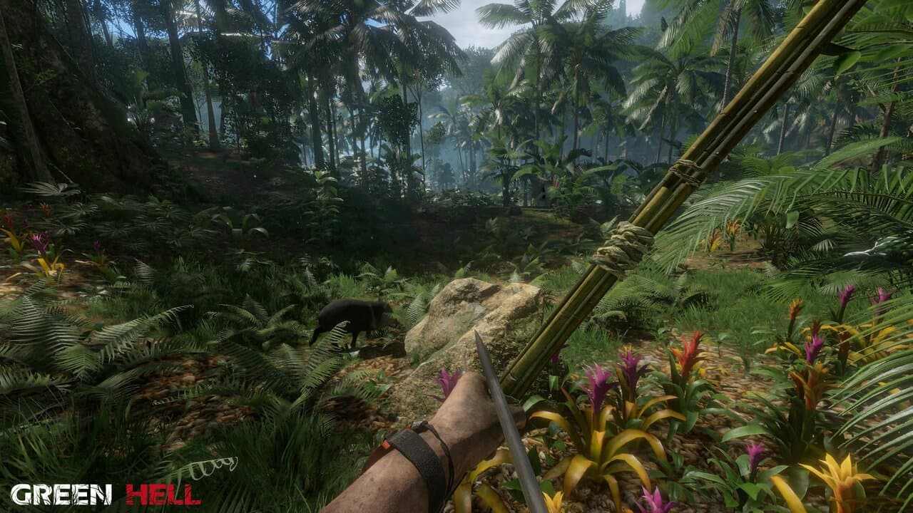 Captura 3 de Green Hell
