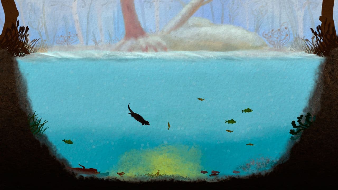 Captura 4 de Among Ripples