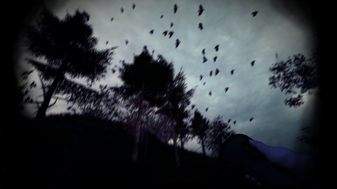 Captura 2 de Slender: The Arrival