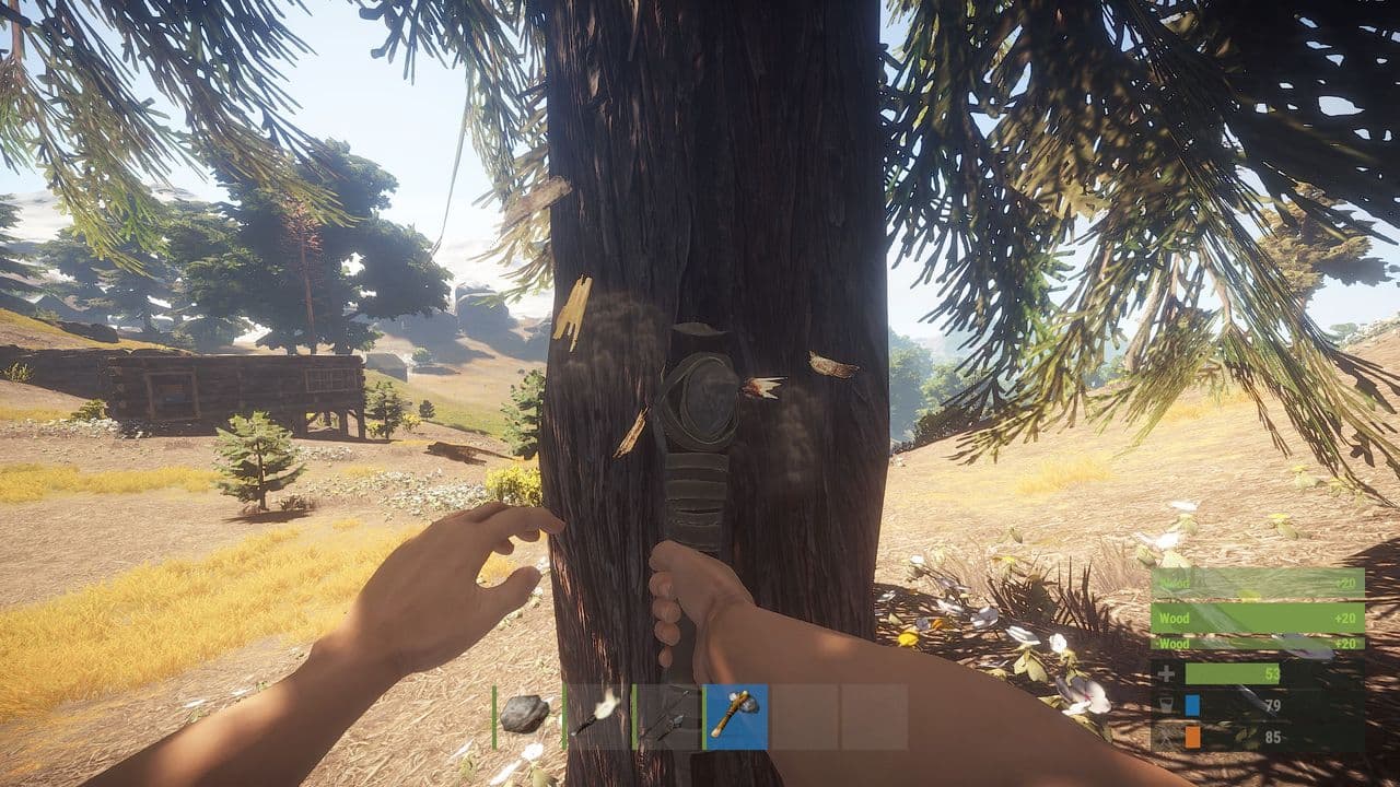 Captura 5 de Rust