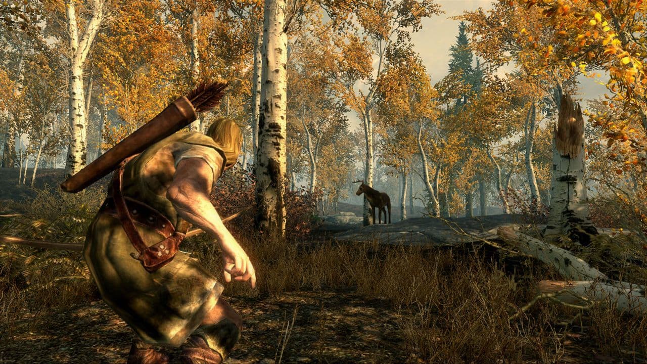 Captura 5 de The Elder Scrolls V: Skyrim