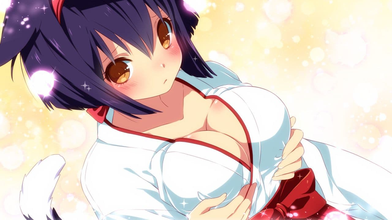 Captura 1 de Sakura Shrine Girls