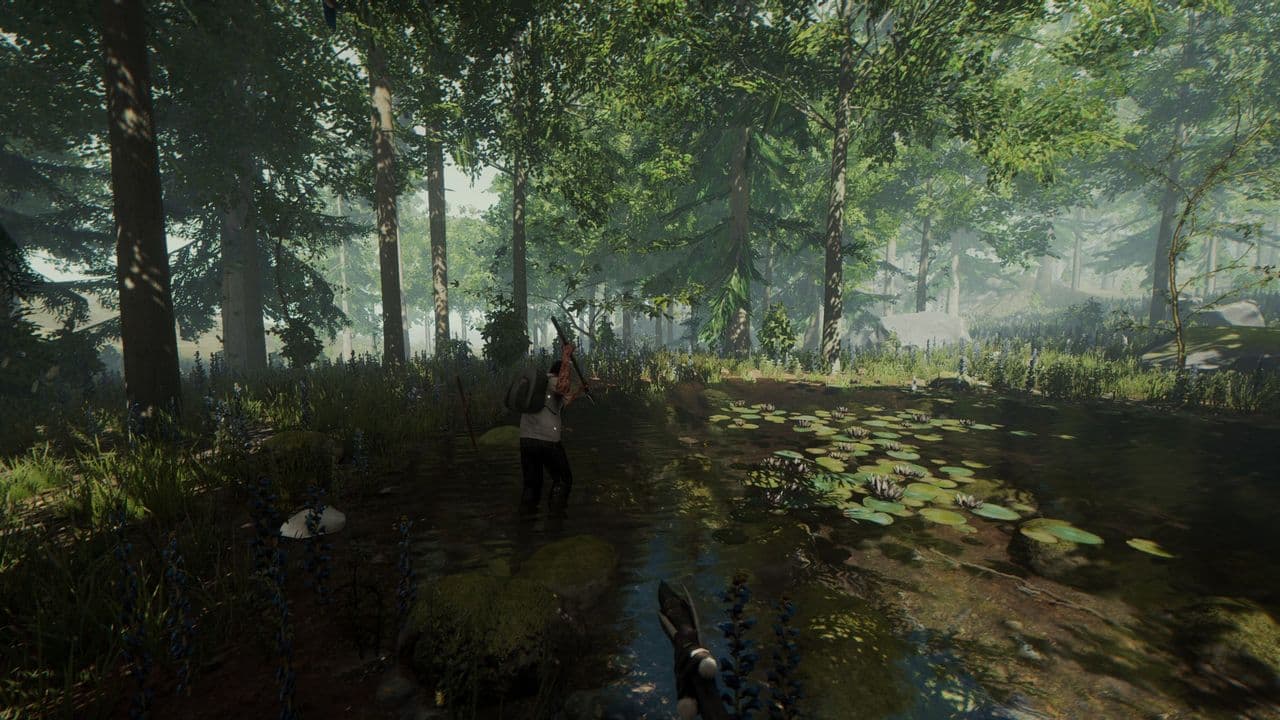 Captura 6 de The Forest