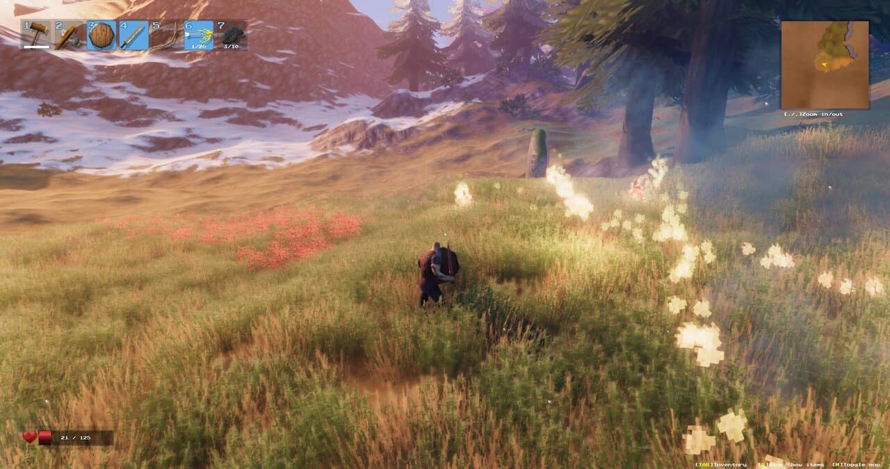 Captura 4 de Valheim