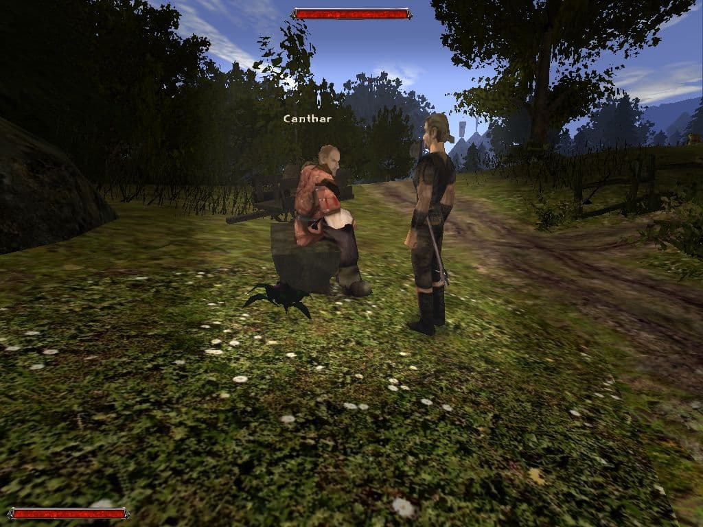 Captura 4 de Gothic 2